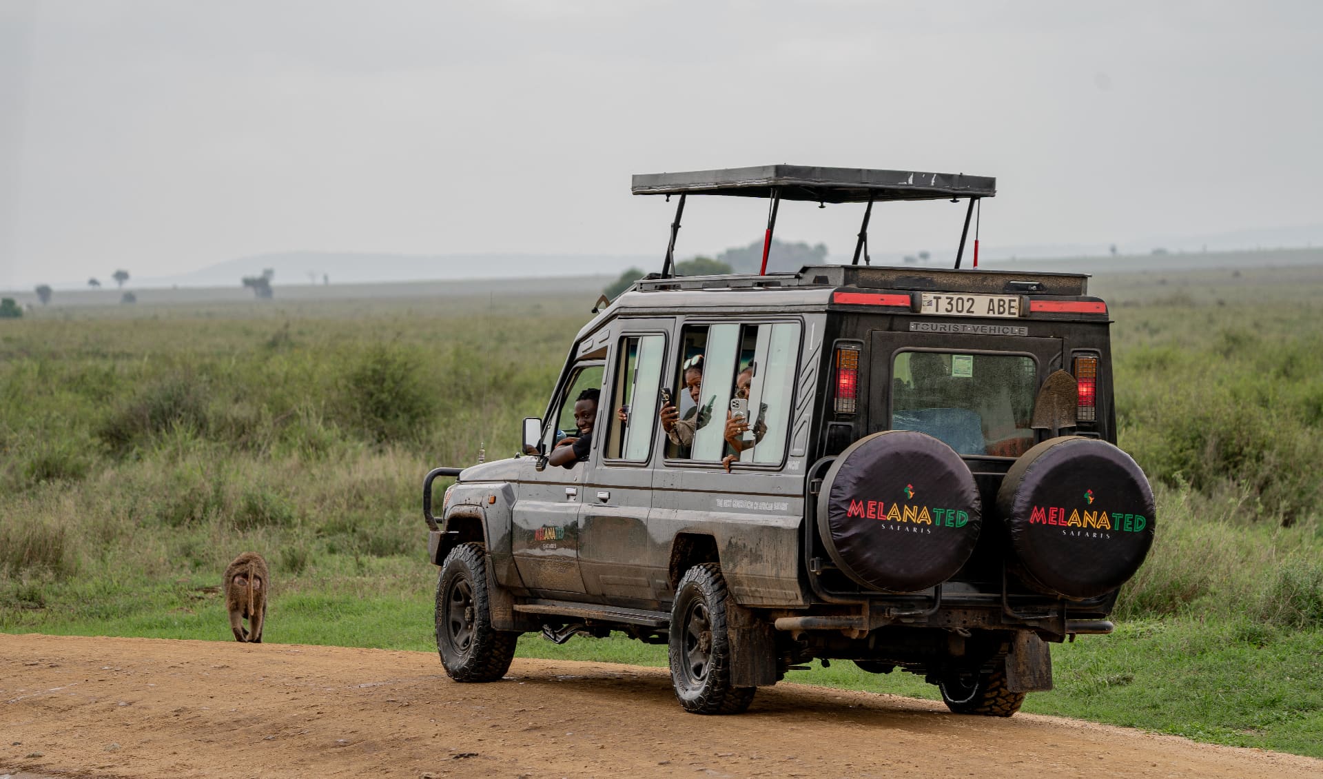Serengeti Game Drive