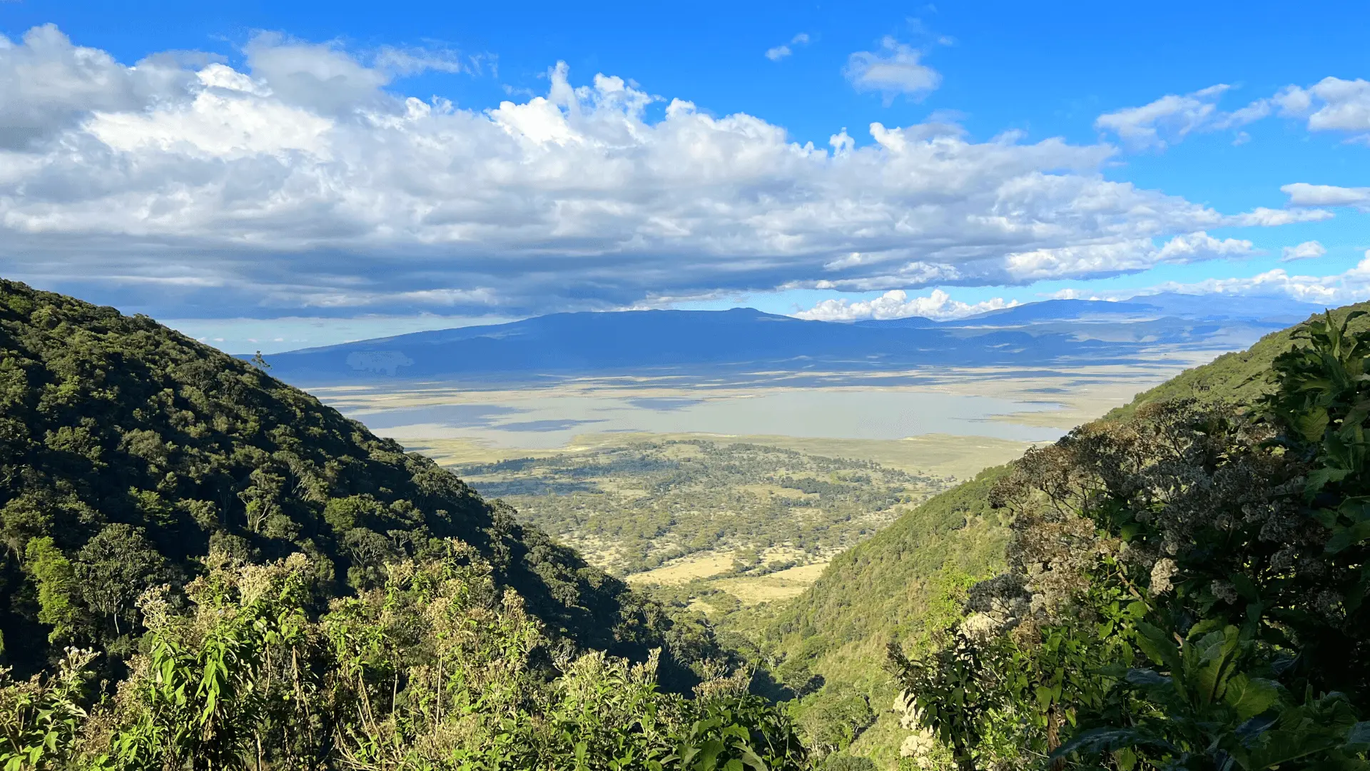Ngorongoro Crater