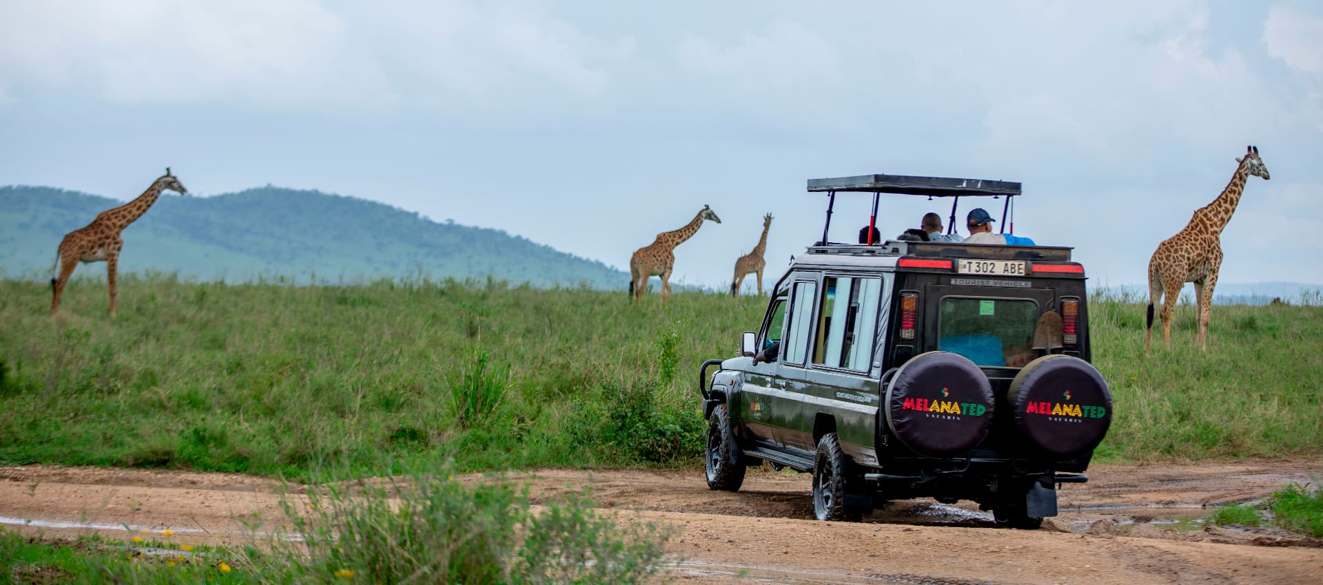 Serengeti game drive safari jeep in Tanzania